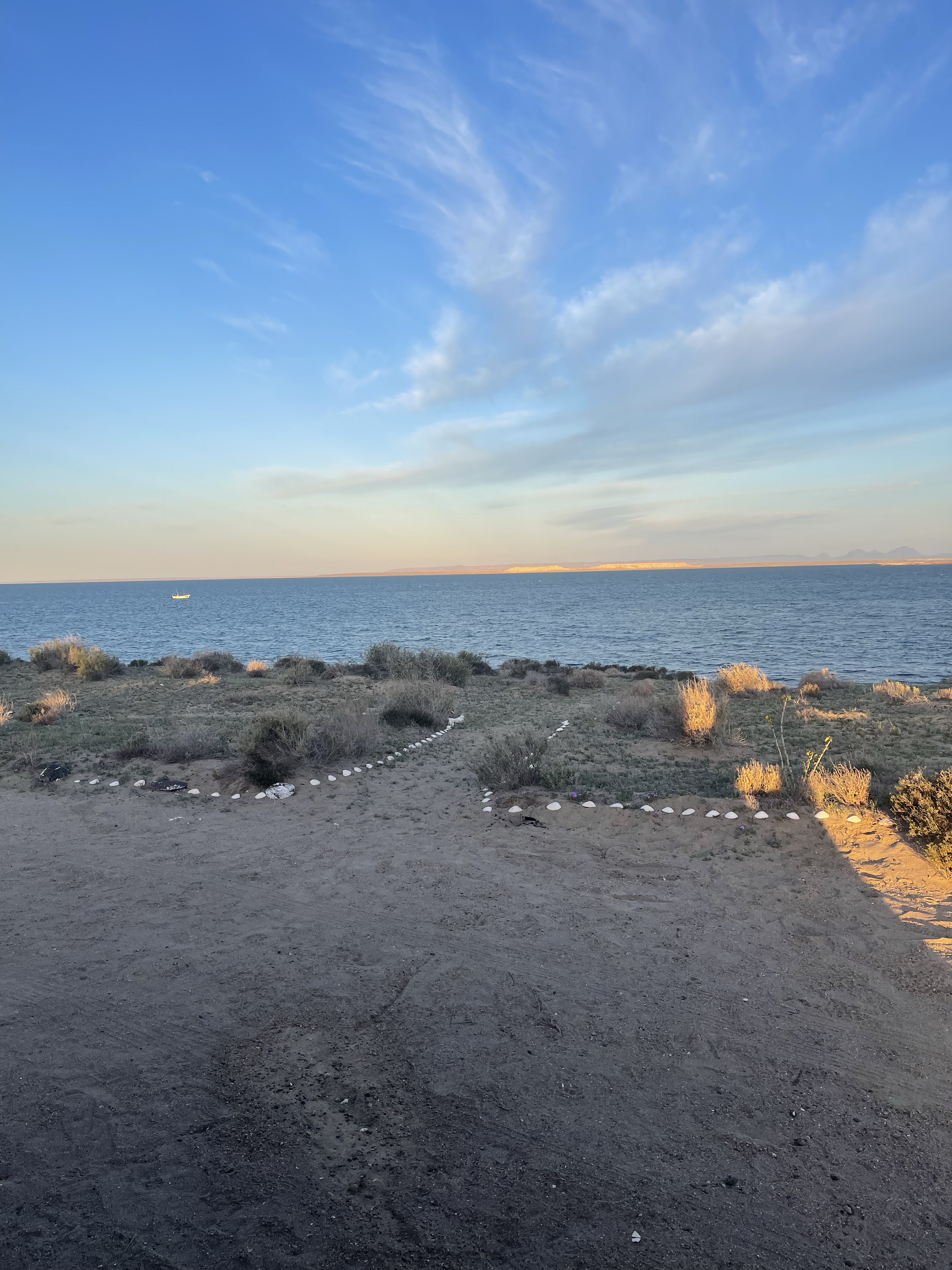 St Ignacio Lagoon – Travel Pig
